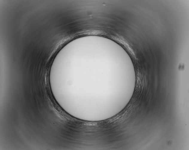 X0000098040110200804181307