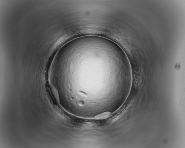 X0000098040111200804181307