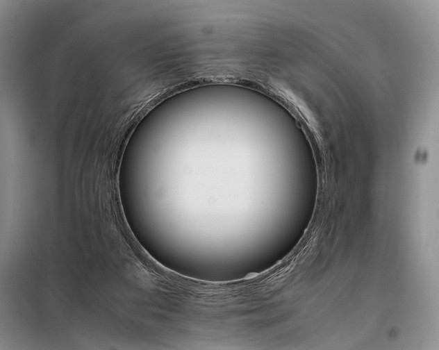 X0000098040113200804181307