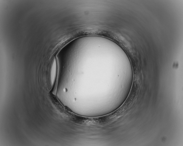 X0000098040115200804181307