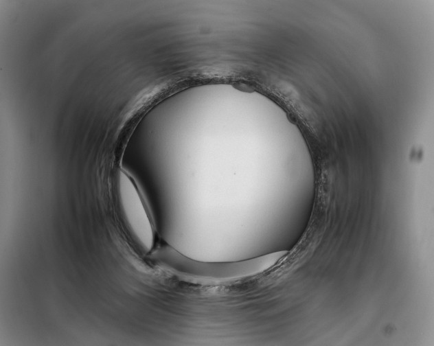 X0000098040116200804181307