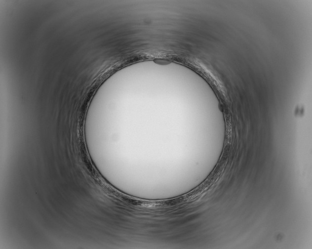 X0000098040117200804181307