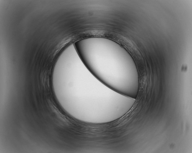 X0000098040120200804181307