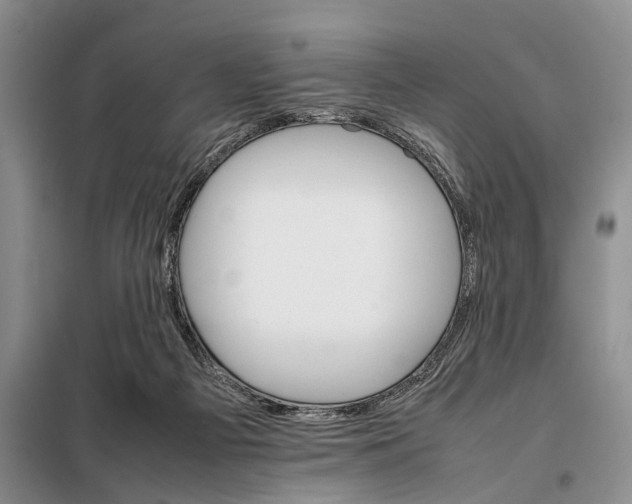 X0000098040121200804181307