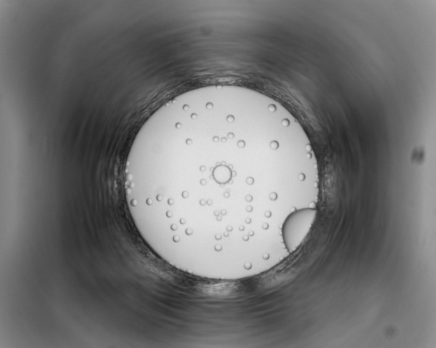 X0000098040122200804181307