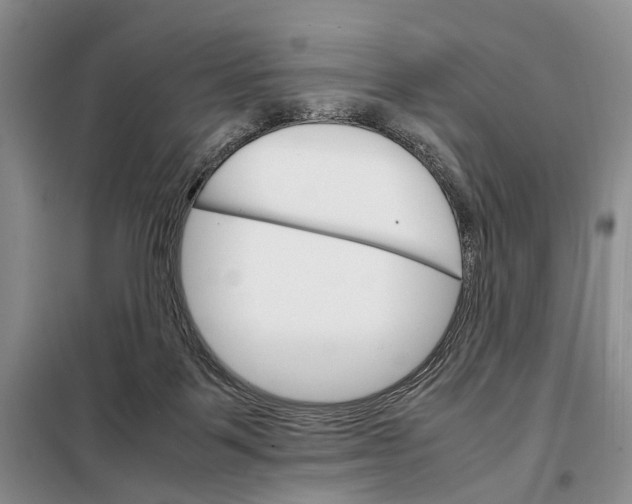 X0000098040123200804181307