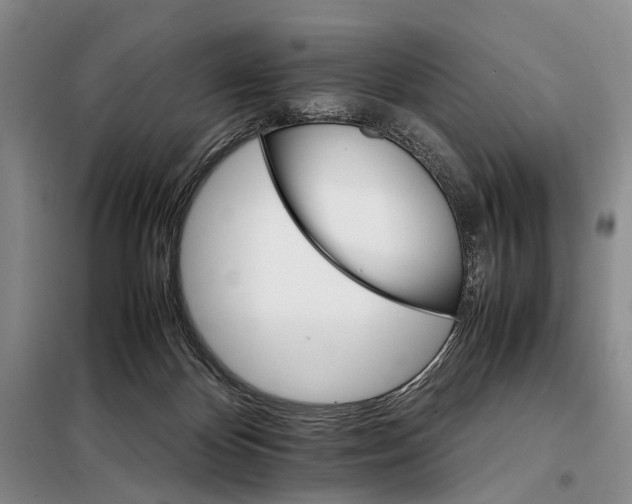 X0000098040124200804181307