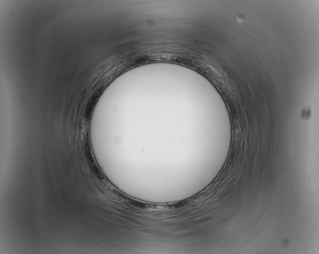 X0000098040125200804181307