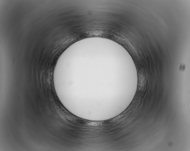 X0000098040126200804181306