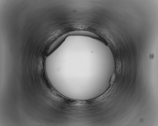 X0000098040128200804181306