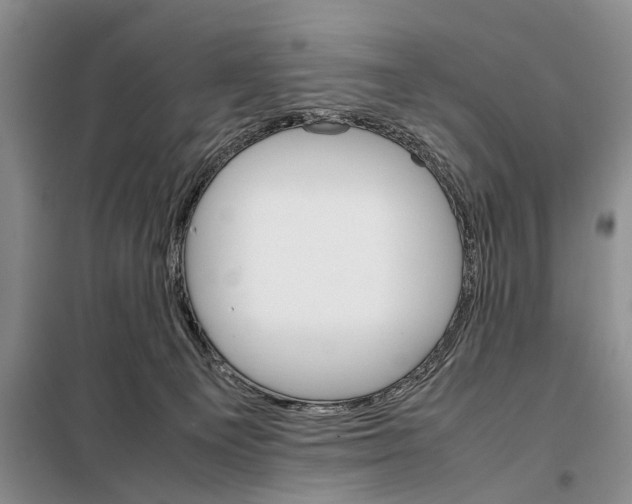 X0000098040129200804181306