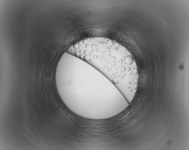 X0000098040131200804181306