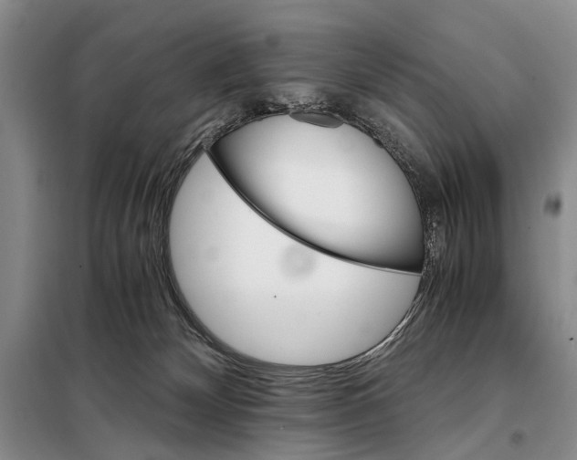 X0000098040132200804181306