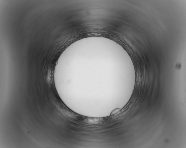 X0000098040134200804181306