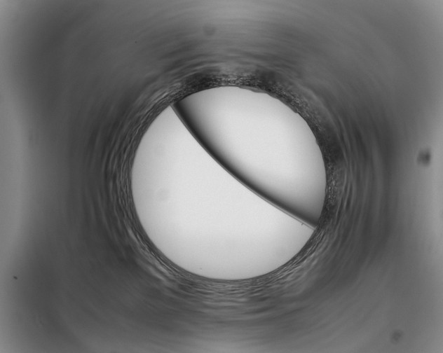 X0000098040137200804181306