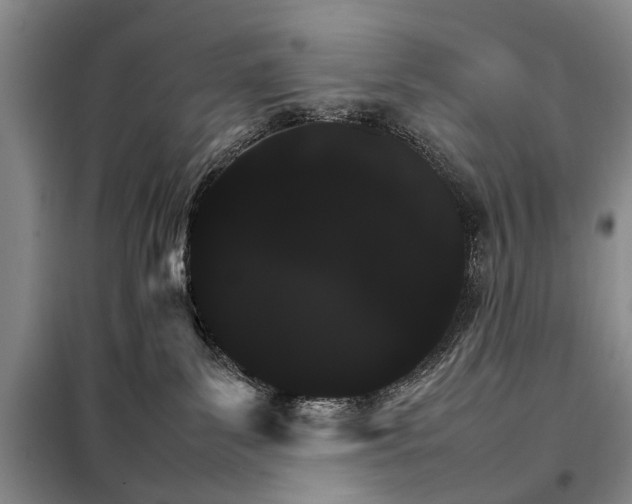 X0000098040139200804181306