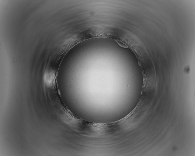 X0000098040142200804181306