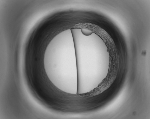 X0000098040143200804181306