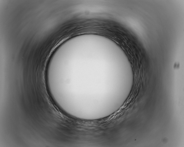 X0000098040146200804181305