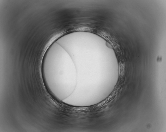 X0000098040147200804181305