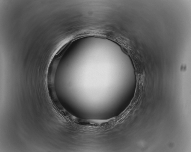 X0000098040148200804181305