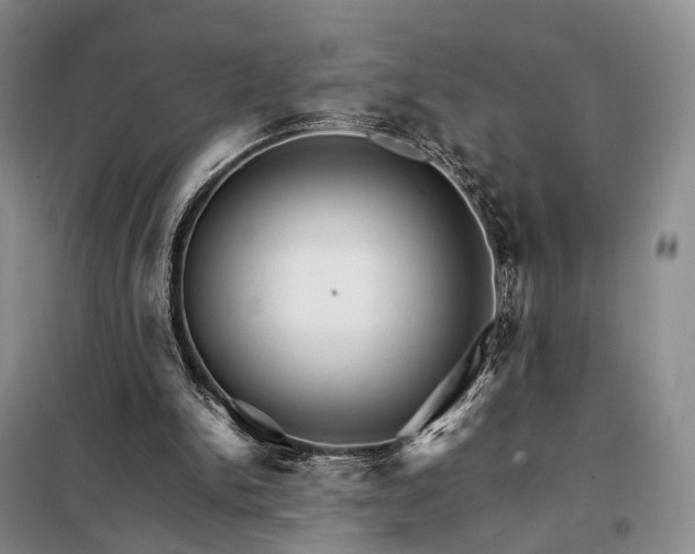 X0000098040150200804181305