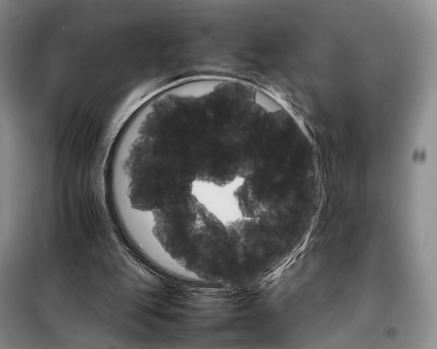 X0000098040151200804181305