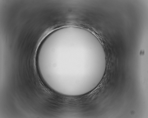 X0000098040152200804181306