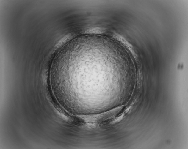 X0000098040153200804181306