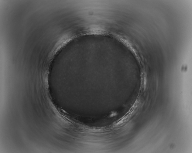 X0000098040154200804181306