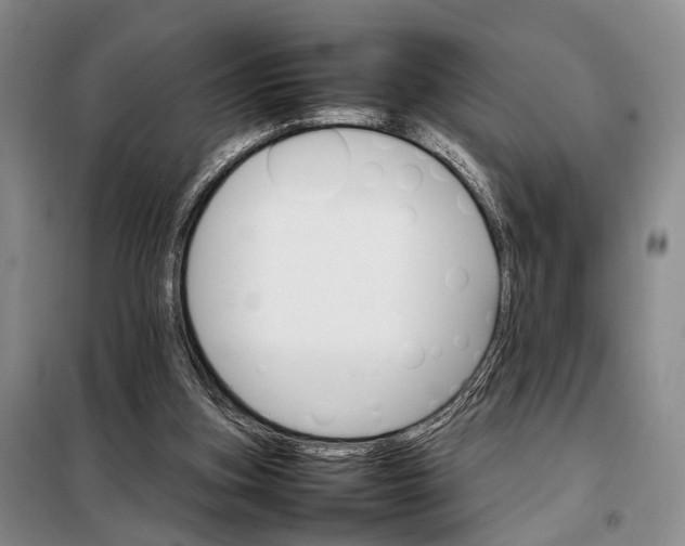 X0000098040155200804181306