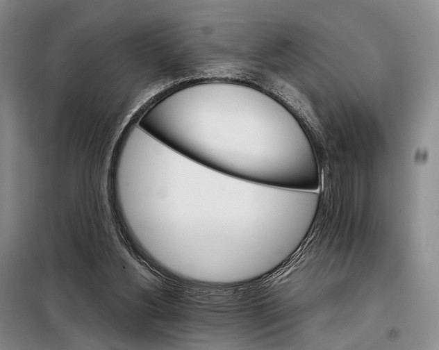 X0000098040156200804181306