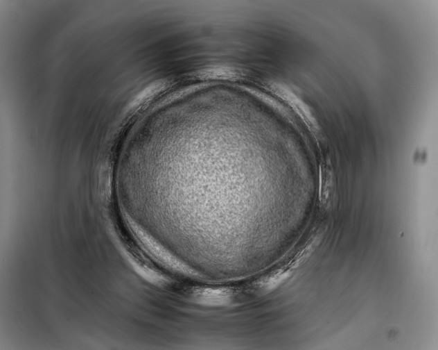 X0000098040157200804181306