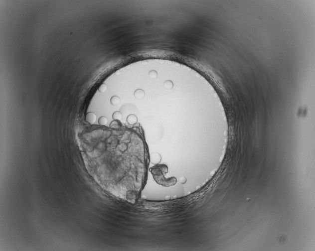 X0000098040159200804181306