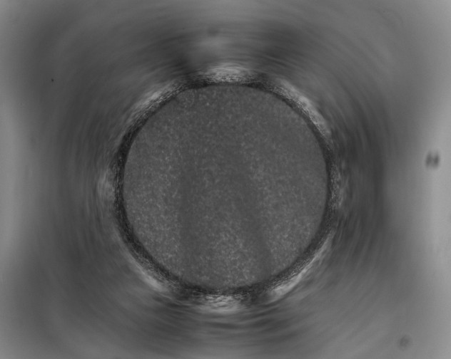 X0000098040161200804181306