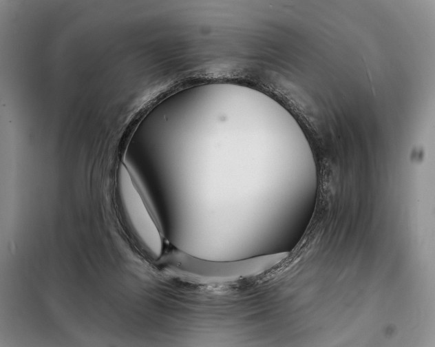 X0000098040164200804181306