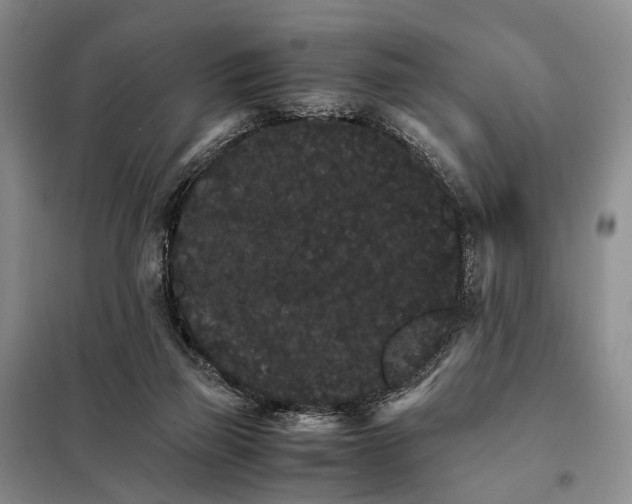 X0000098040165200804181306