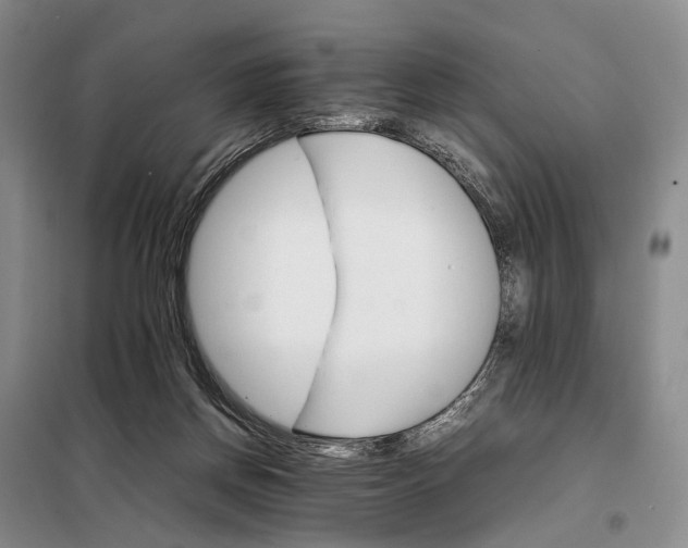 X0000098040166200804181306