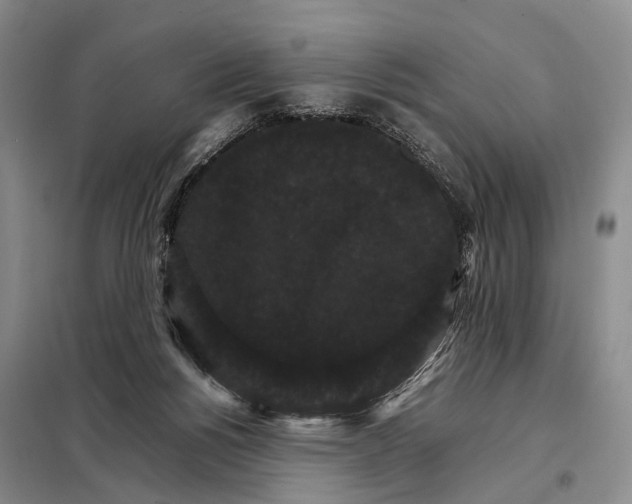 X0000098040168200804181306