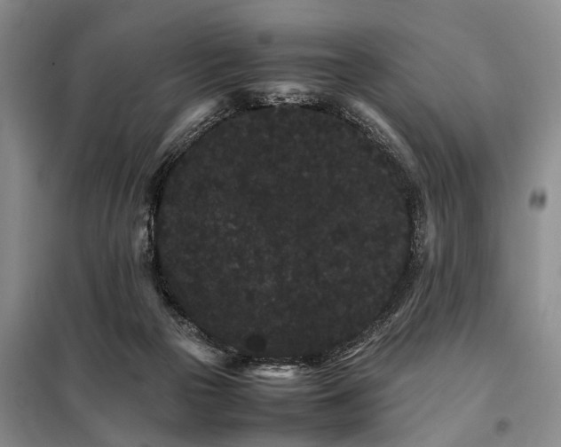 X0000098040169200804181306