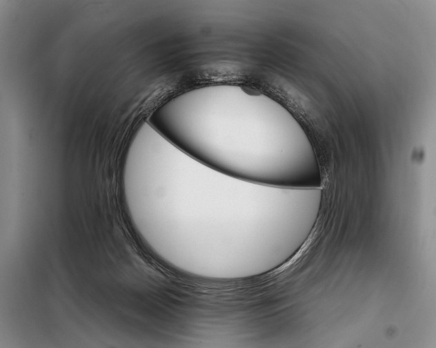 X0000098040170200804181306