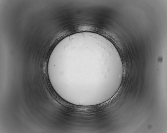 X0000098040171200804181306