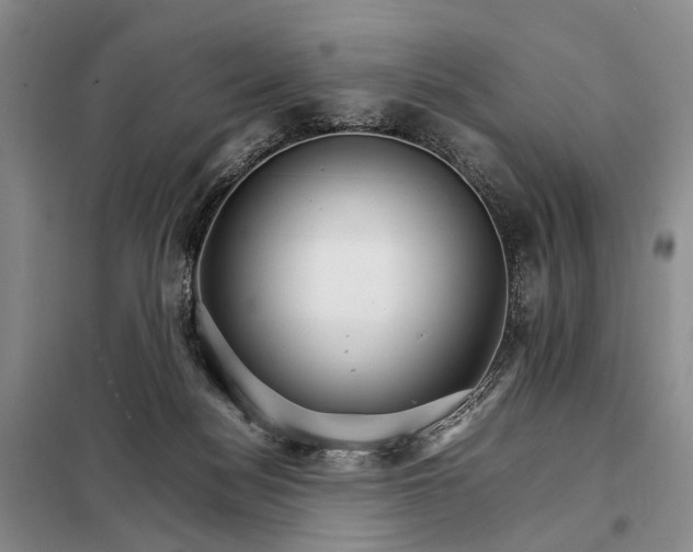 X0000098040172200804181306