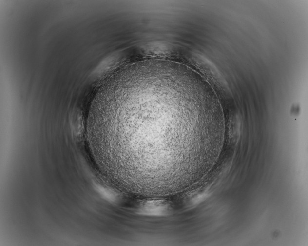 X0000098040173200804181306