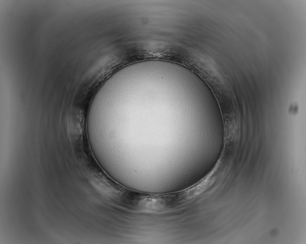 X0000098040174200804181306