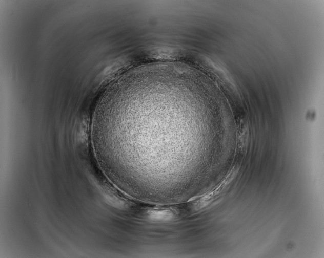 X0000098040175200804181306