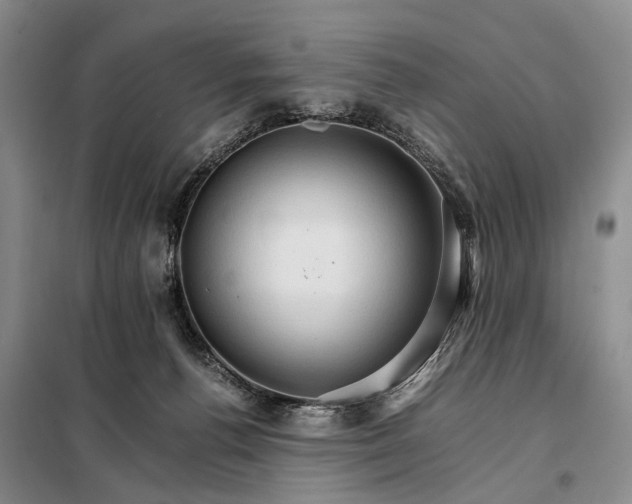 X0000098040176200804181306