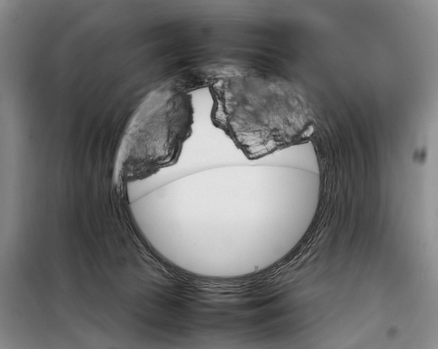 X0000098040177200804181306