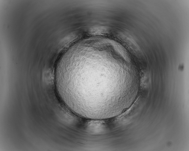 X0000098040179200804181306