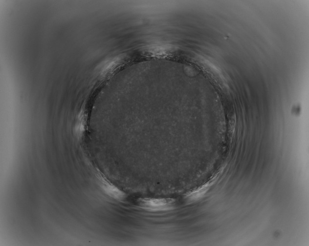 X0000098040181200804181306